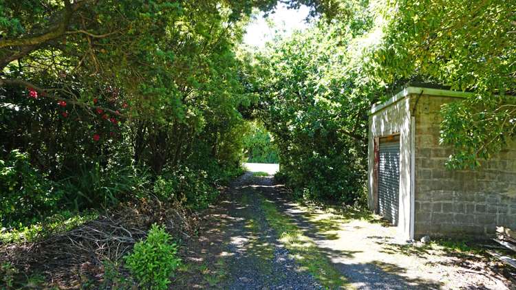 88 Ruru Avenue Otatara_6