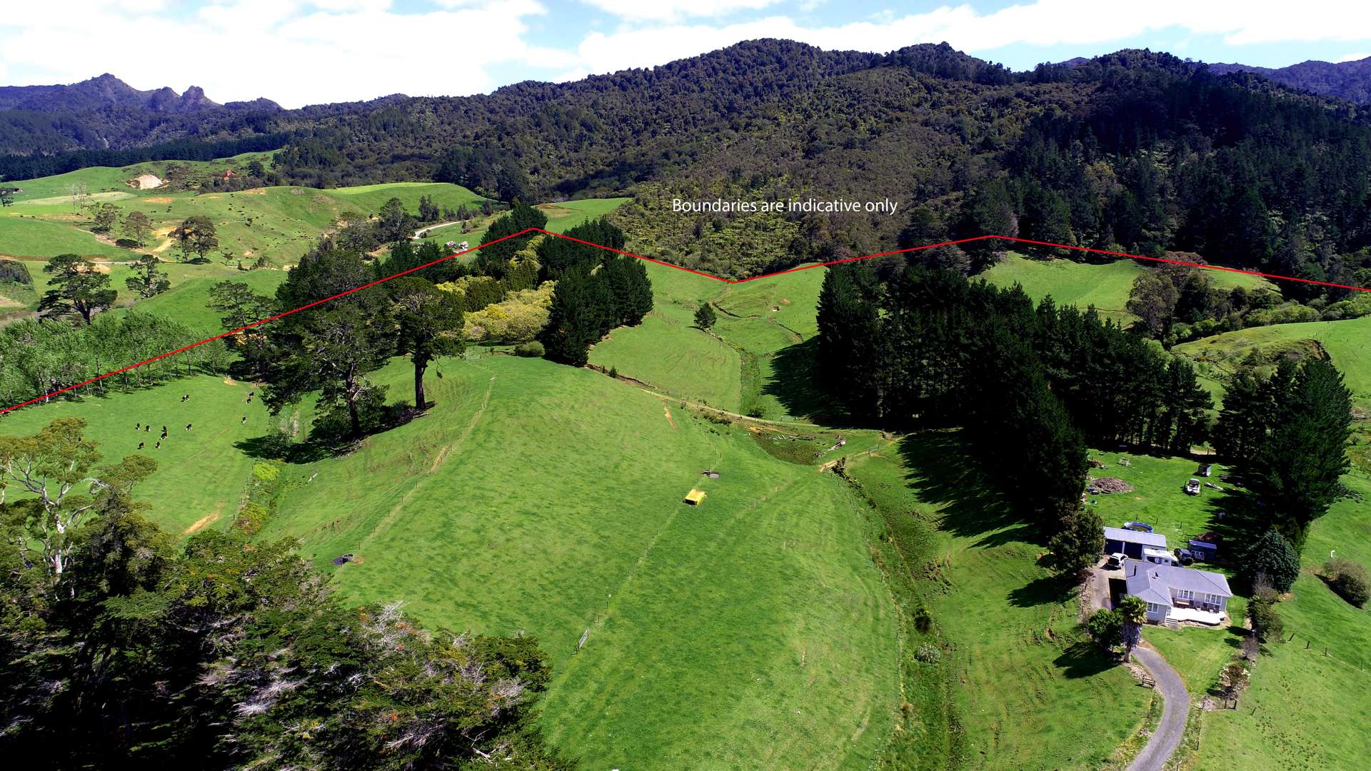 348b Rea Road Hauraki Surrounds_0