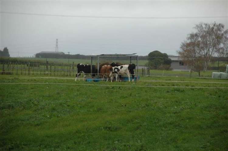 308 Seddon Road Waitoa_20