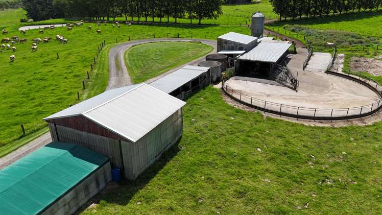 374 Rakauwahia Road Taheke_5