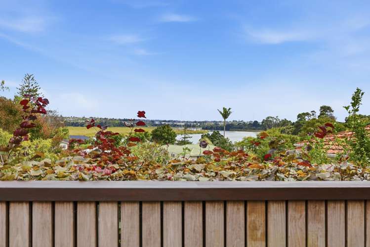 35 Esmeralda Avenue Avondale_6