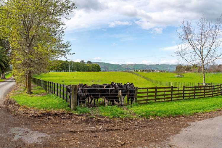 715b East Taratahi Road Carterton_6