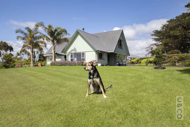 221 Amreins Road Taupaki_2