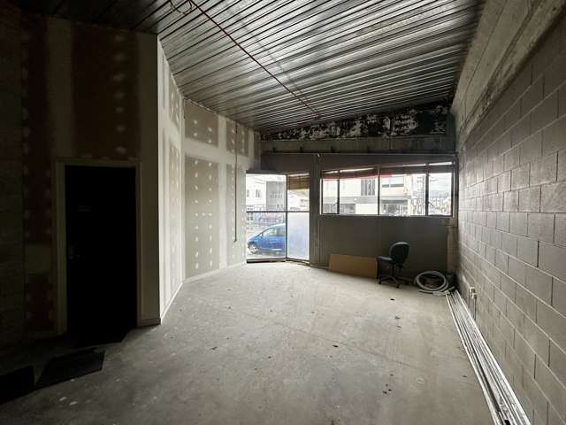 197 Hanover Street Dunedin Central_3