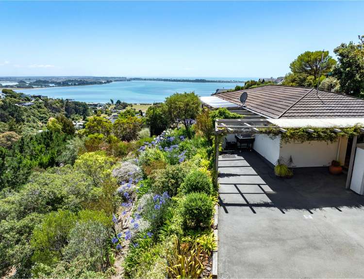 65 Soleares Avenue Mount Pleasant_26