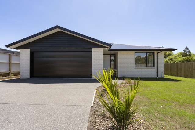 3 Kaipeke Lane Waitara_1