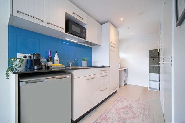 Architecturally Designed and Built Trendy Studios