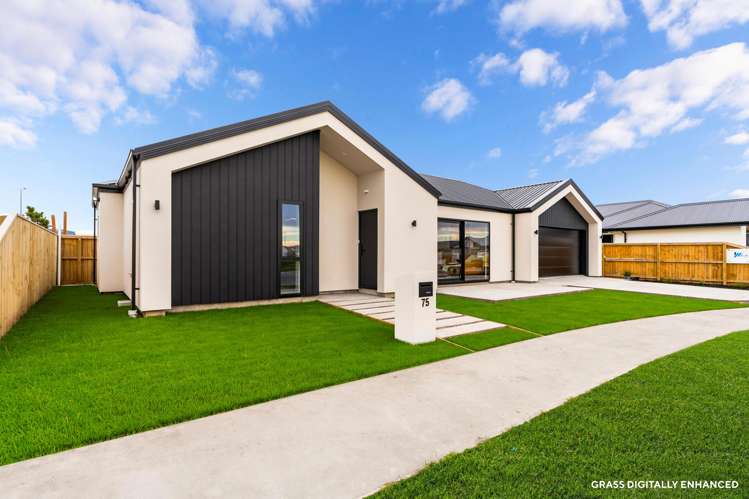 75 Bill Harvey Drive_1