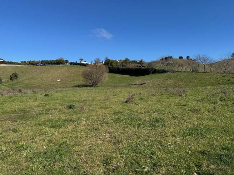 165 Breckenridge Road Puketapu_5