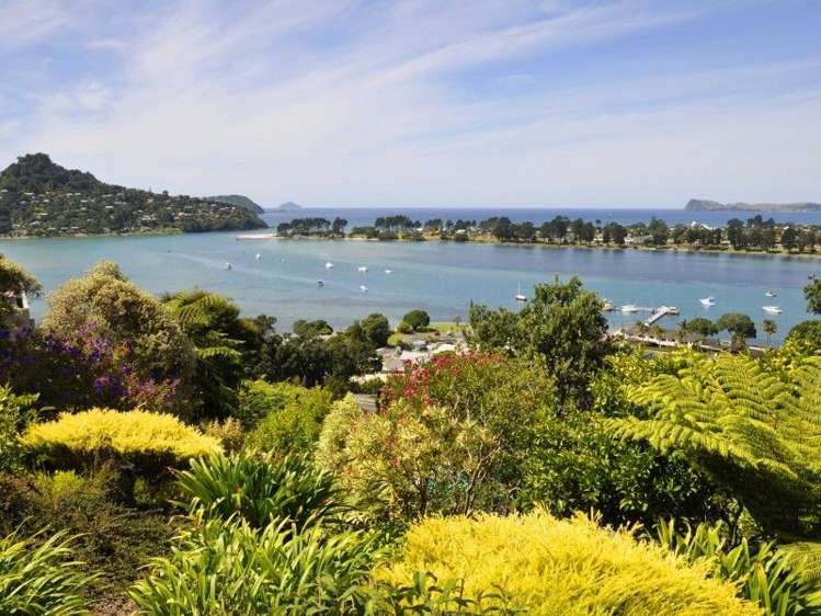 9 Pine Grove Tairua_0