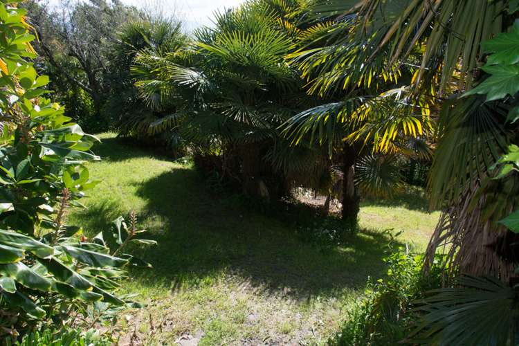 3 Grenville Terrace Moana_17