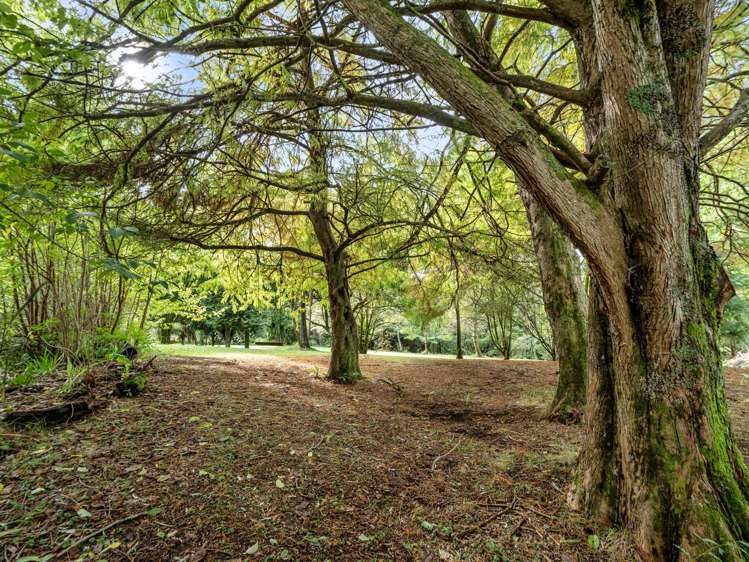 93 Upland Road Aongatete_27