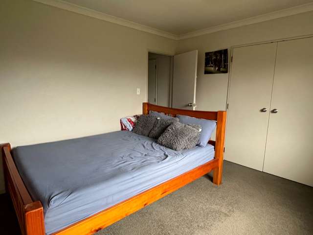 2D Buckland Road Tuakau_4