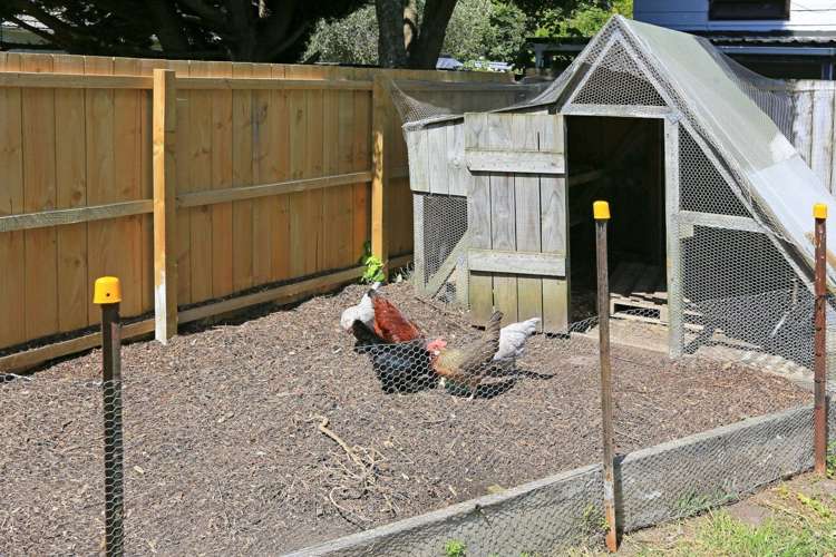 76 Nikau Street New Lynn_10