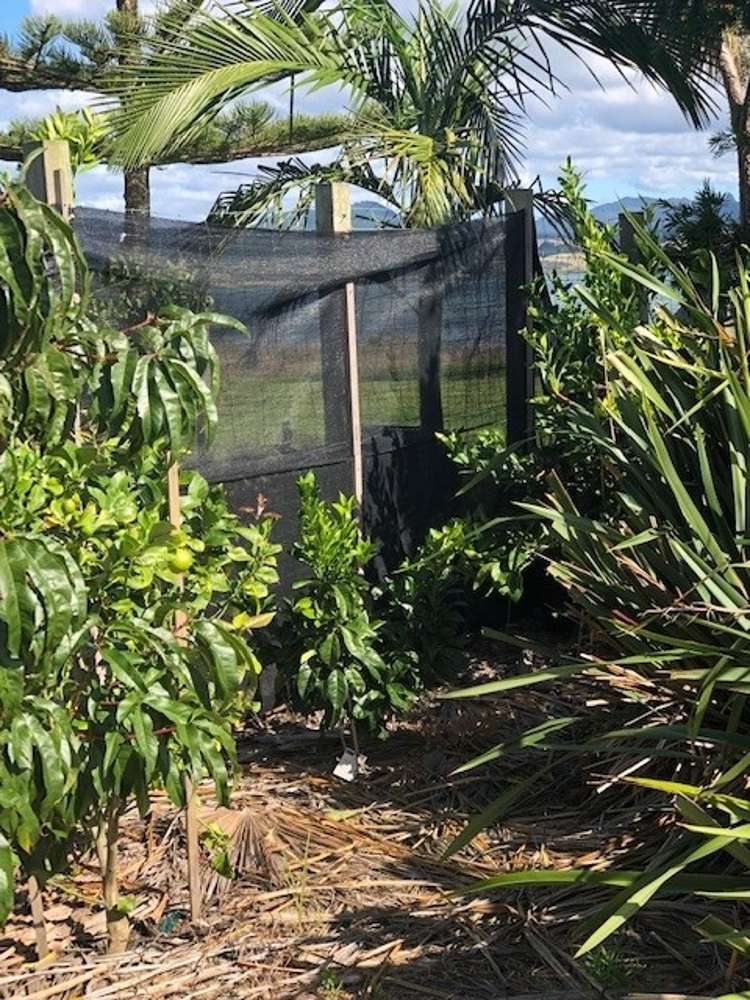 109 Kelly Jade Avenue Matarangi_8