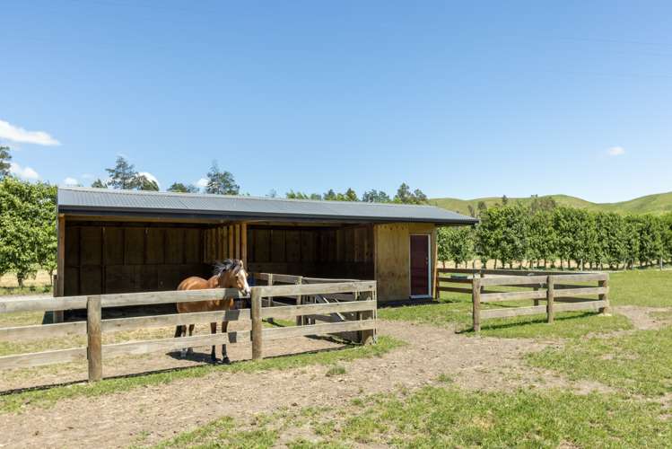 1212 Ohiti Road Crownthorpe_22