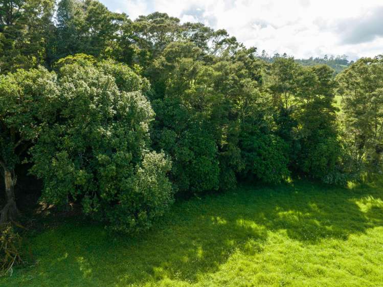 140b Doel Road Kawakawa_20
