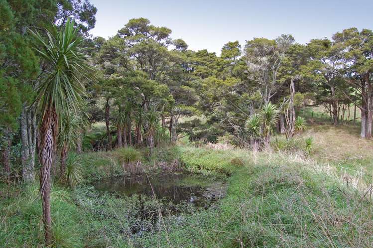 280c Baldrock Road Kaiwaka_16