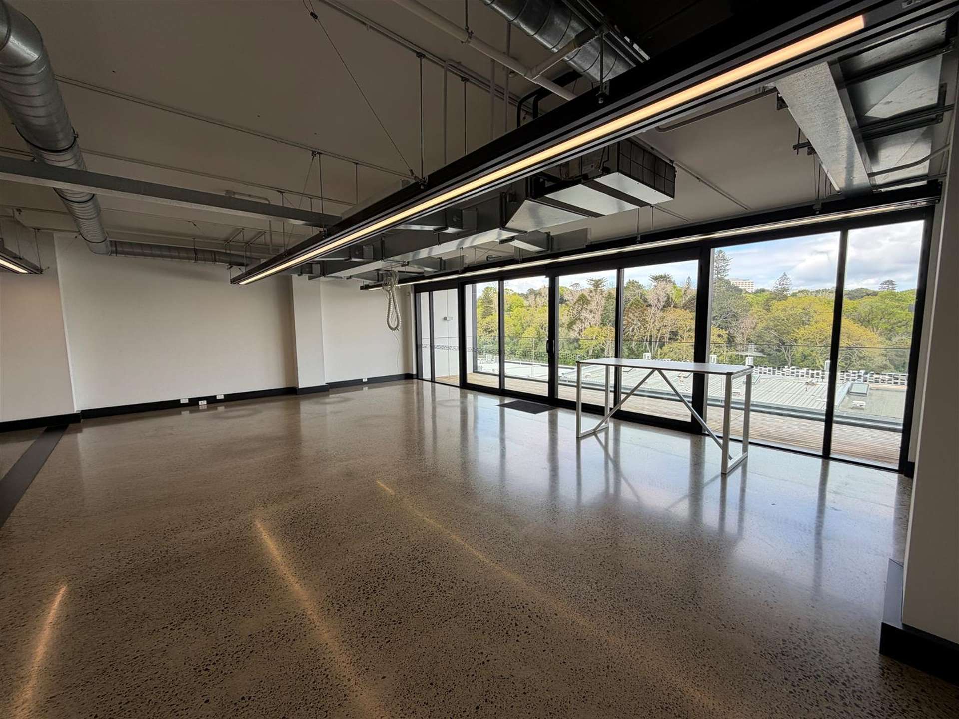 Level 3, 23 Falcon Street Parnell_0