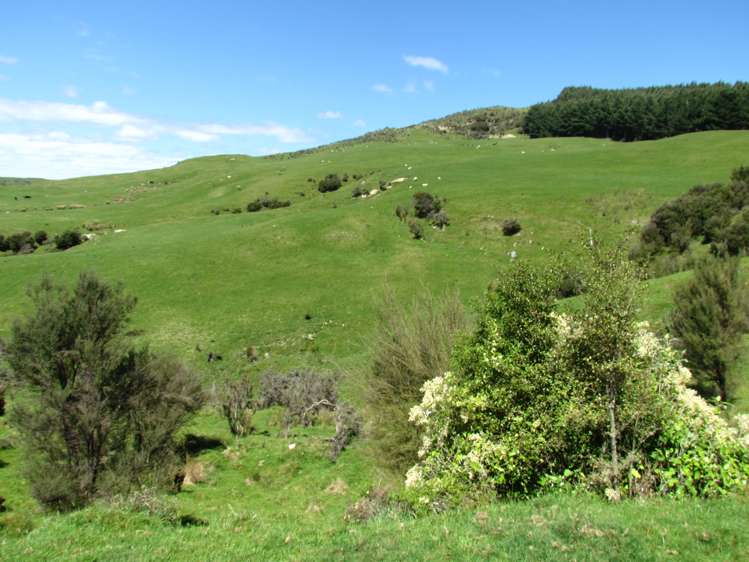 139 Clay Creek Road Ruakokoputuna_7