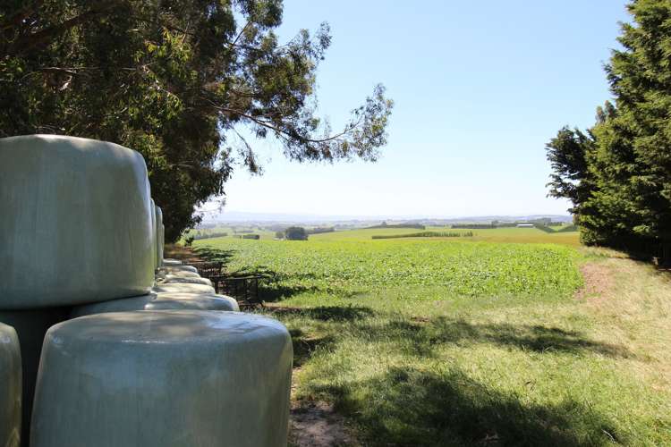 1271 Waikaka Valley Highway Gore Surrounds_5