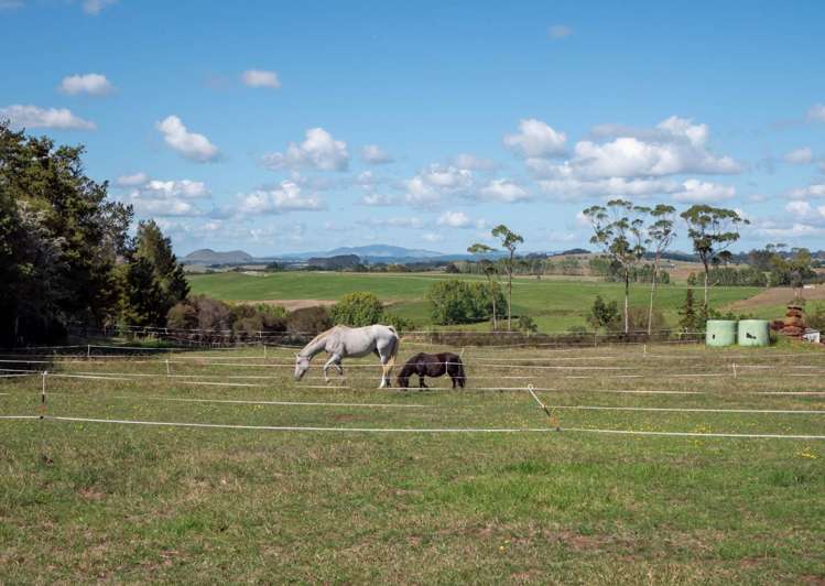 267B Wiroa Road Kerikeri_21