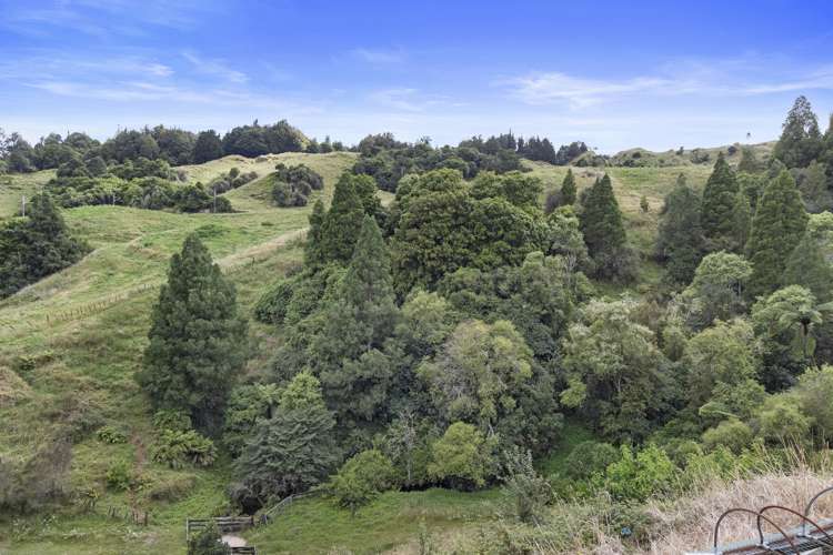 645 State Highway 30 Te Kuiti_24