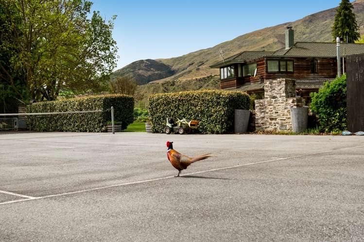 928 Cardrona Valley Road Cardrona_14