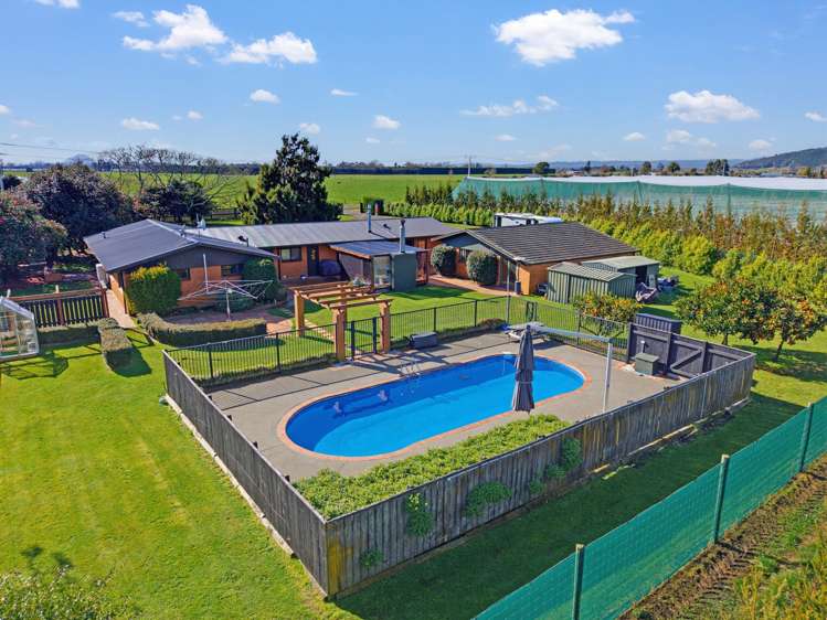 89 McCracken Road Edgecumbe_23