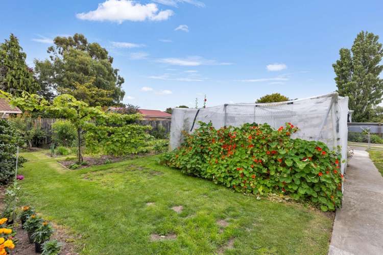 1 Taiaroa Place Southbridge_16