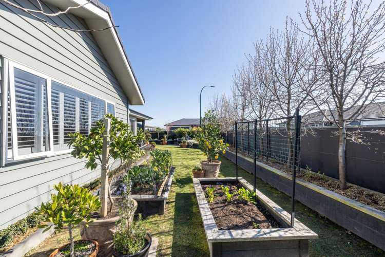 4 Arrow Place Te Awa_13