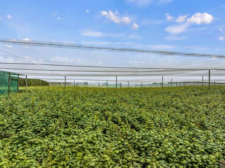 37 and 41 Taurangaruru Road Waiuku_13