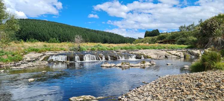 41 Otaria Road Gore Surrounds_19