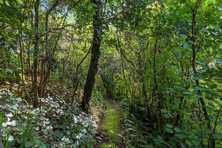 5 Camelia Lane Whakatane_19