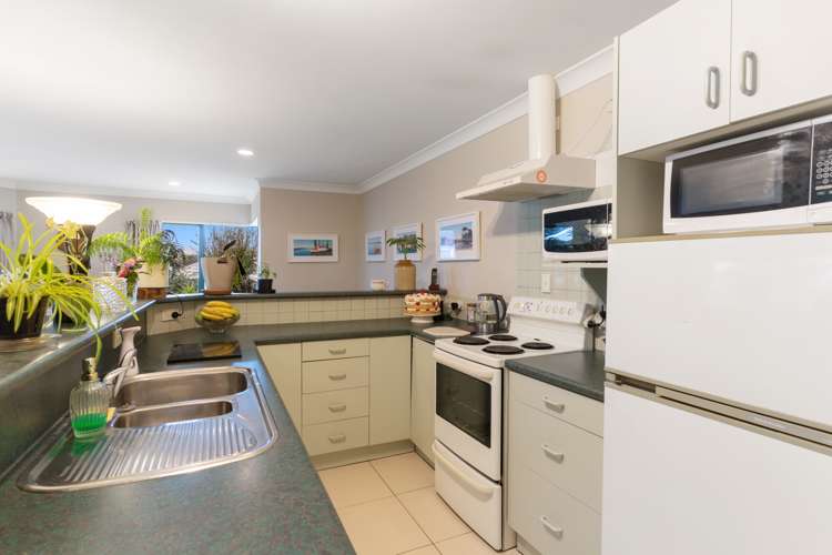17b Scantlebury Street Tauranga South_8