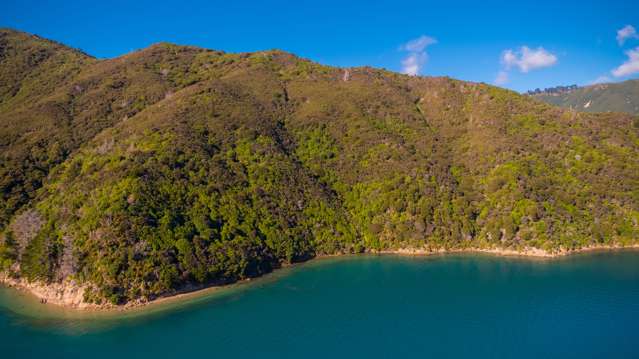 Lot 3 Patten Passage, Arapaoa Island Queen Charlotte Sound_1