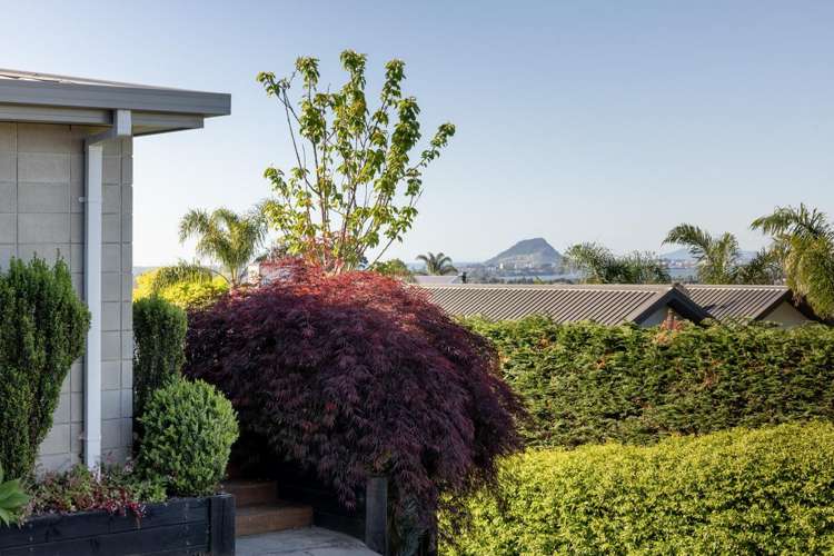 7 Upper Ohauiti Road Ohauiti_29