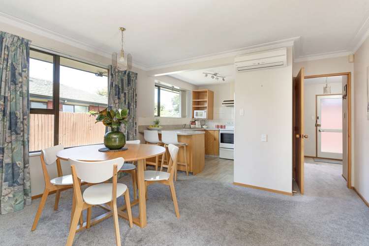 8 Lowry Avenue Redwood_4