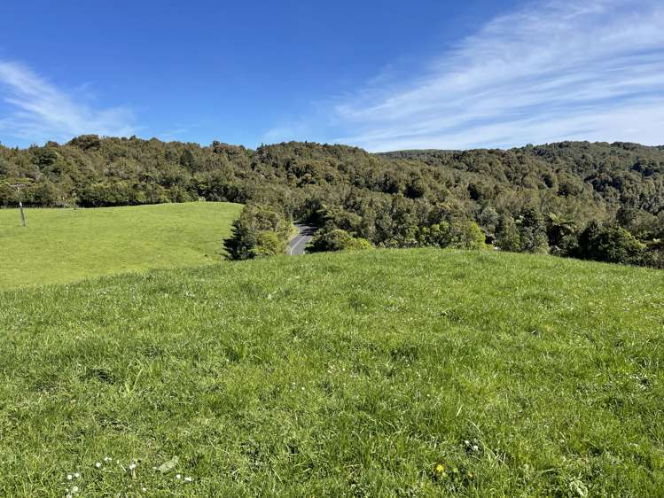 Pekanui Road Puketotara_6