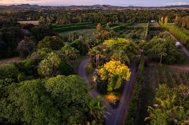 440 Mangakahia Road_1