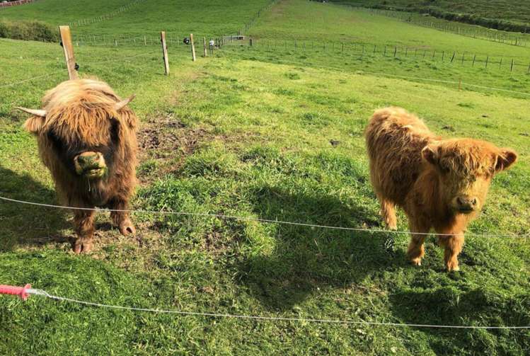 25c Mason Road Hawera_1