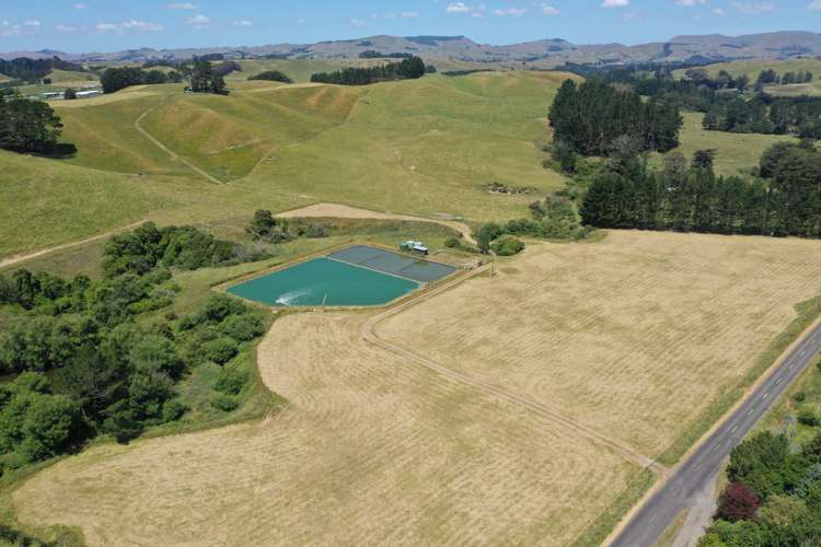 83 Norsewood Ormondville Road Norsewood_21