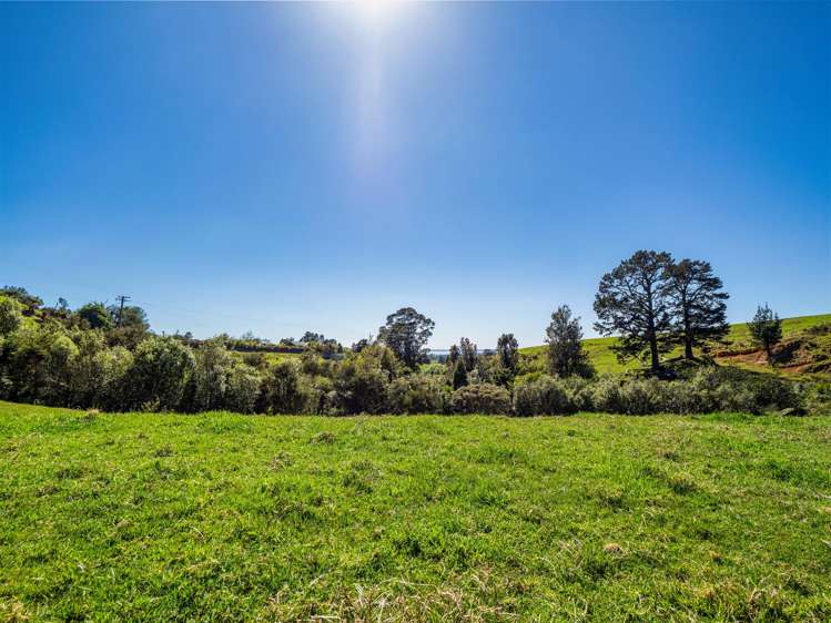 383 Busby Road Katikati_41