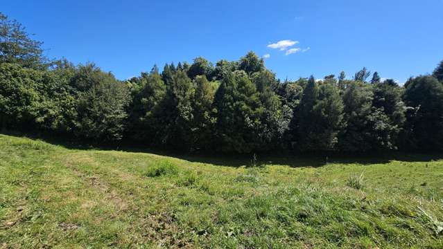 Lot 2/72 Belk Road South Omanawa_4