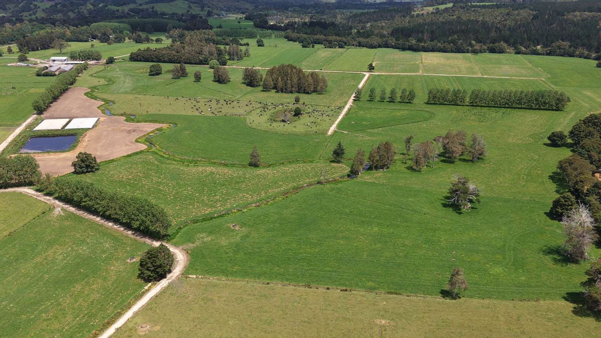 268 Punakitere Road Kaikohe_0