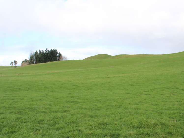 86 Glengarry Road Dannevirke_23