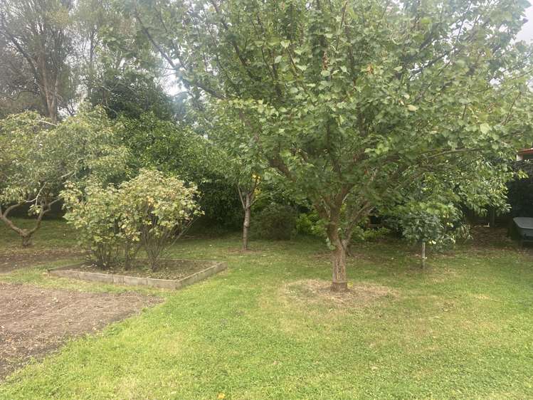 45 Alfred Street Roslyn_7