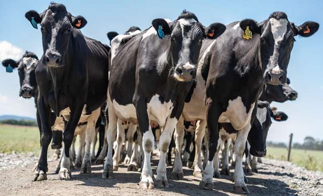 1599 Hundred Line Road East Winton_4