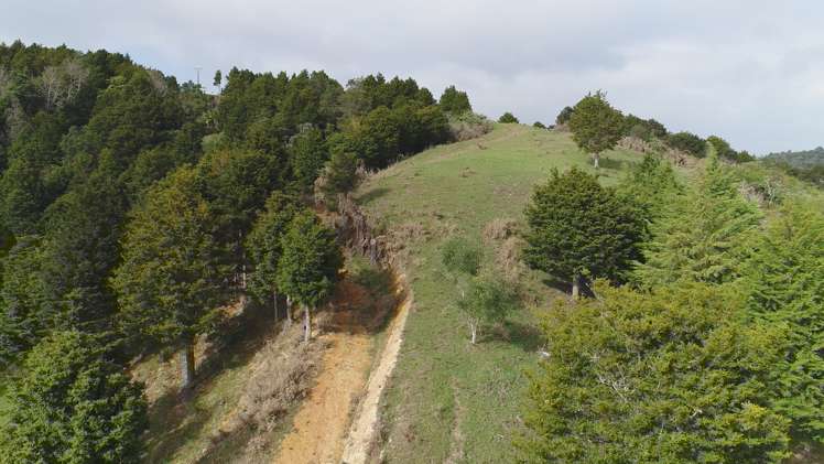 272 Kaiikanui Road Hukerenui and Surrounds_13