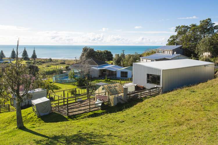26 Arthur Street Tokomaru Bay_17